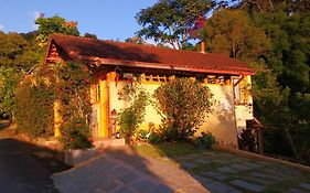 Rosa Amarela Sao Pedro Da Serra (rio De Janeiro)