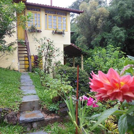 Rosa Amarela Sao Pedro da Serra (Rio de Janeiro) Exterior foto